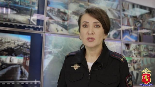 Во Владимирской области после погони со стрельбой полицейскими задержан нетрезвый водитель машины