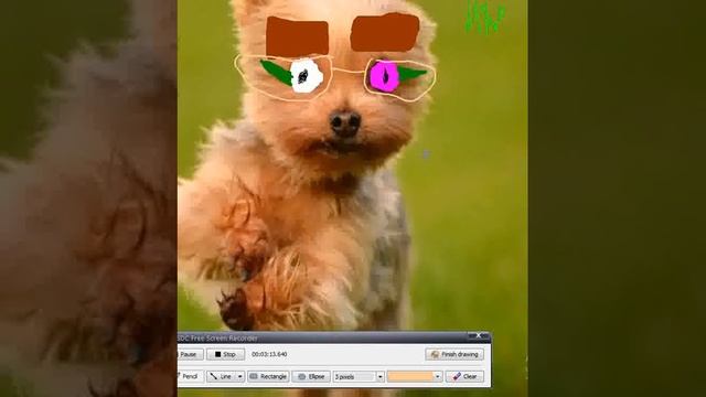 пЕРвый лук собаки Илр