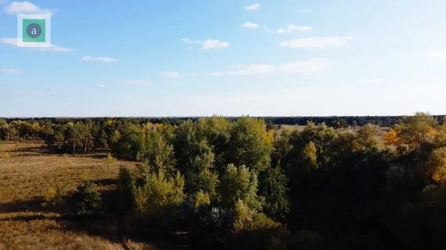 Красивые ЛЕСА России!
