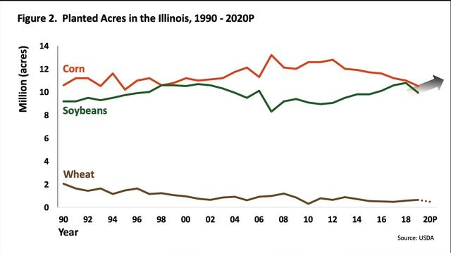Profitability and Acreage Shifts Between Corn and Soybeans