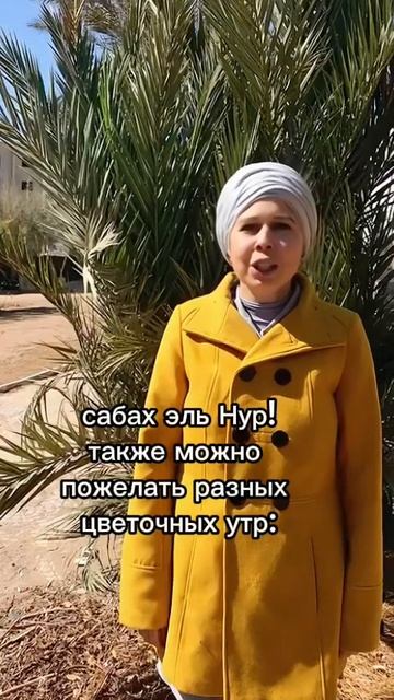 Это вам понадобится в Египте 🌞🌴 Как сказать с добрым утром на египетском диалекте 🇪🇬
