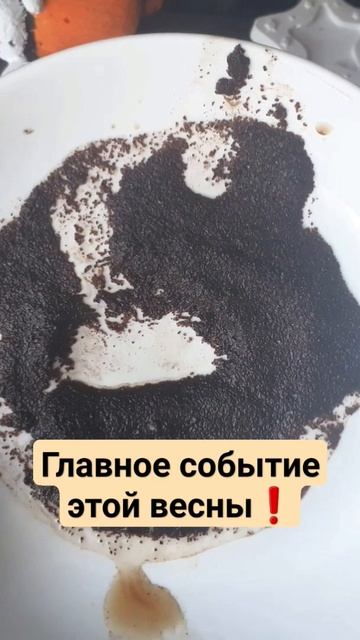 #shorts #гаданиенакофейнойгуще #гаданиеонлайн #онлайнгадание #предсказание #гадание #таро #оракул