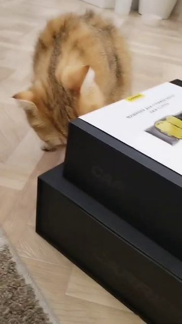 1000250917.mp4