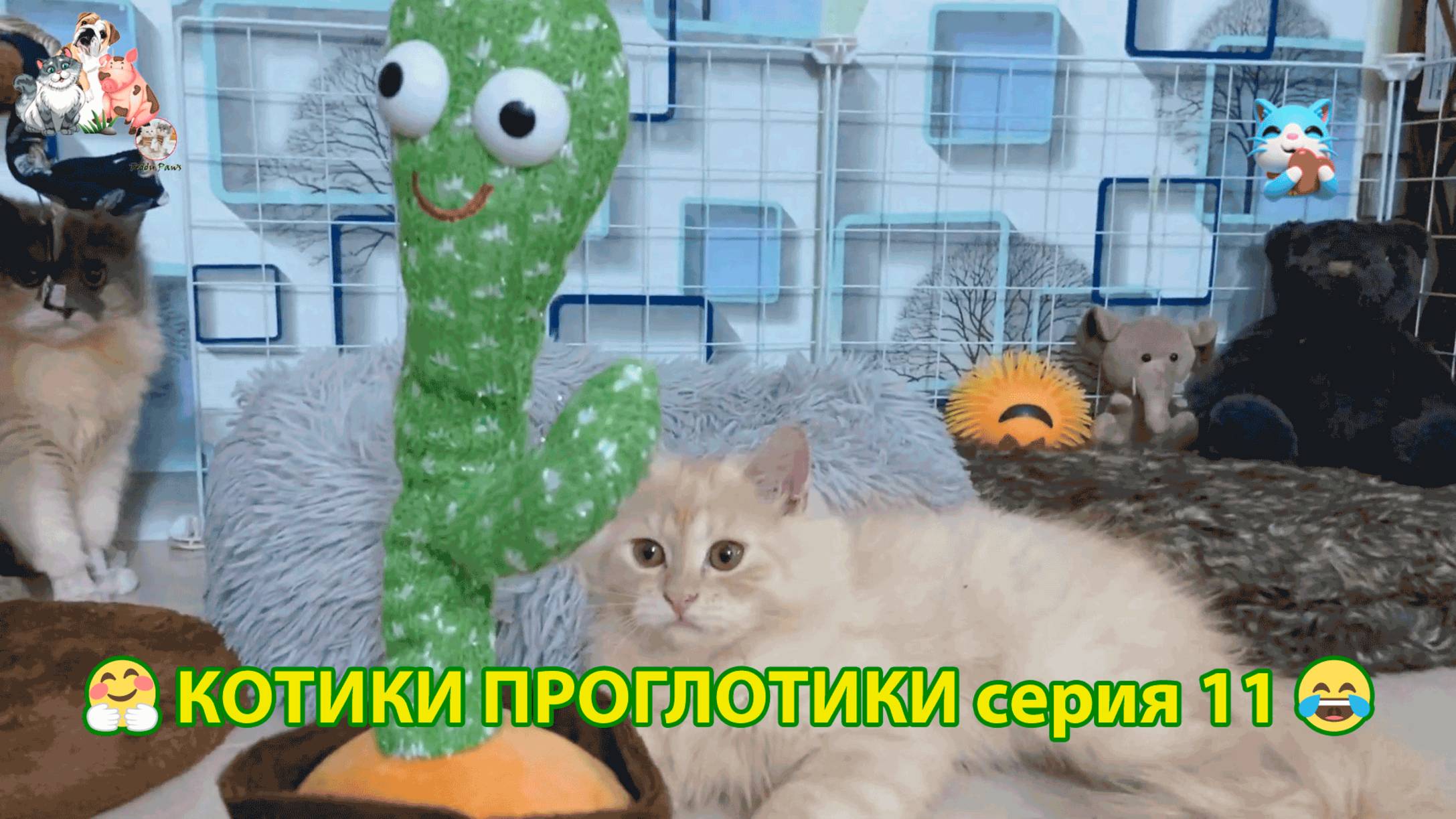 Котики-проглотики растут будущие птицеводы 🐈🐈⬛😹 эпизод (11)