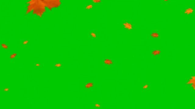 Green Screens : Falling leaves - Autumn