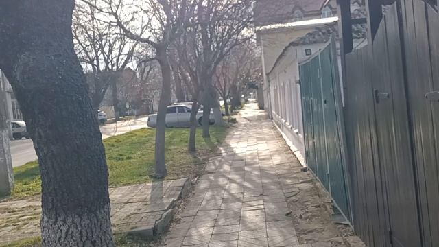 Анапа. Февральское окно. Прогулка по Астраханской улице. 15 февраля 2025. 10.00