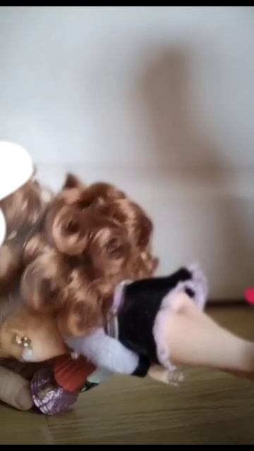 lv_0_20250215132352.mp4