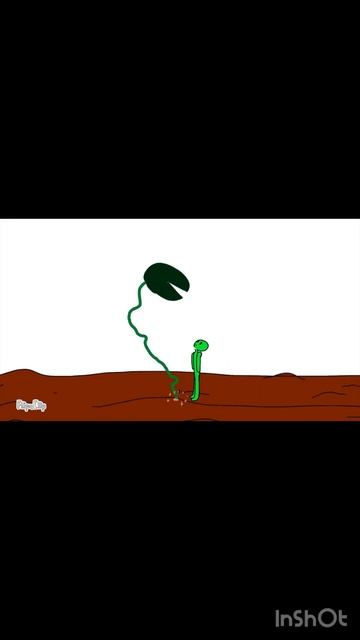 Carnivorous plant eats person animation #animation #anime #flipaclip #plant