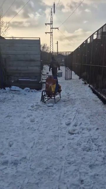 До приезда гостей