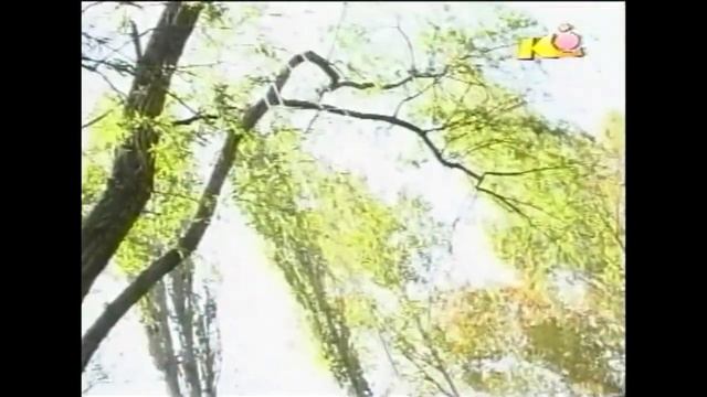 ГЕРГЬОВДЕН +++  Село ТОПОЛИ  ++++  2001