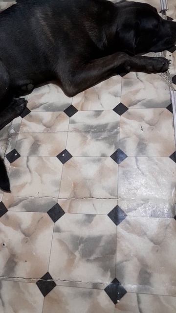 все пройдет