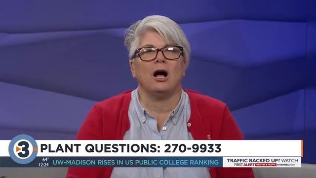 Lisa answers viewers' plants, gardening questions