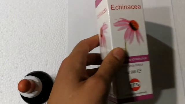 Echinacea