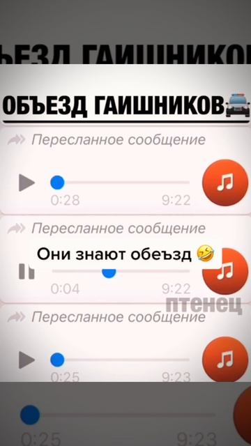 Обычная беседа анти ДПС в WhatsApp #приколы #угар #дпс #беседа #смех #дослез #2024 #стройка #топ