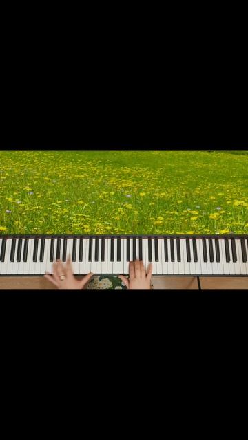 П. Сенневиль | Полевые Цветы  (Paul de Sennevil | Wildflowers) PIANO #shorts