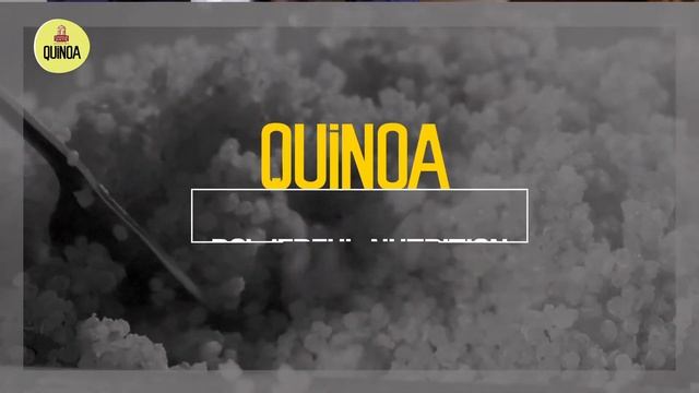 S For Quinoa | Superfood