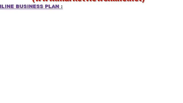 Part-1_PRO ONLINE MARKETING MARKETVIEW ONLINE - BUSINESS PLAN.wmv