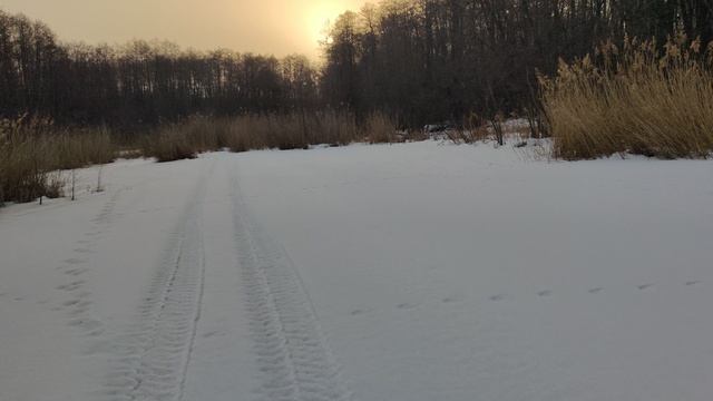VID_20240316_071744