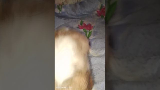 1000036270.mp4