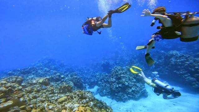 Kids Diving Cayman
