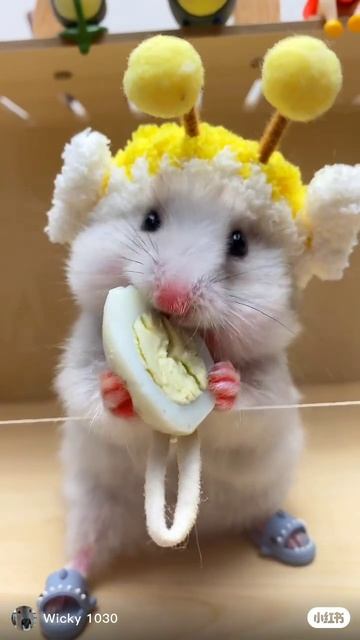 cutee 😍😍😍😍