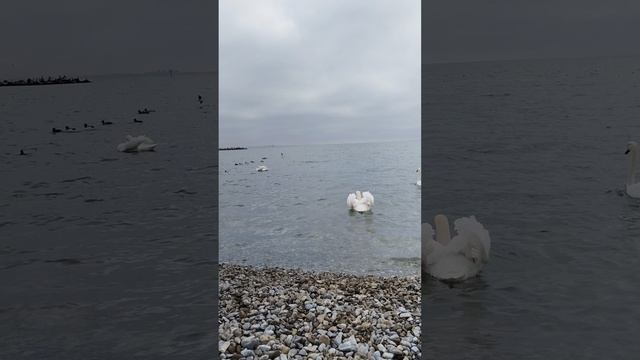 1 сезон. 13 серия. 1 минута