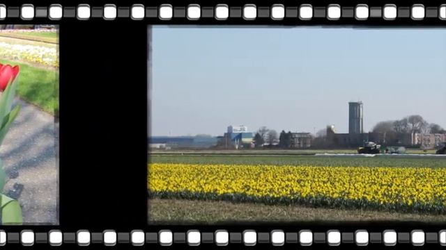 Wuppertal, Duisburg (Alemania) y jardines de Keukenhof (Holanda)