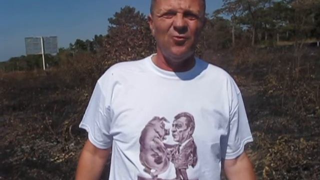 В Севастополе выгорело 10 га виноградников