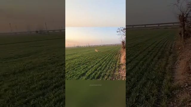 1000073783.mp4