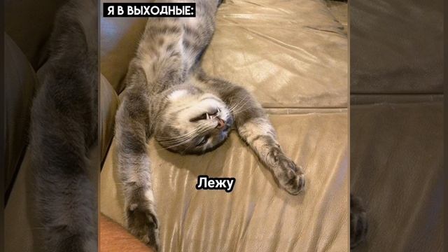Юмор: Я в выходные