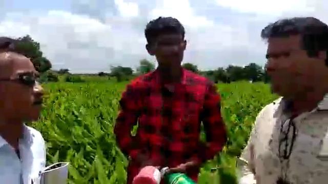 haldi result use Netsurf Biofit product kishor aglave contact no 7720997356