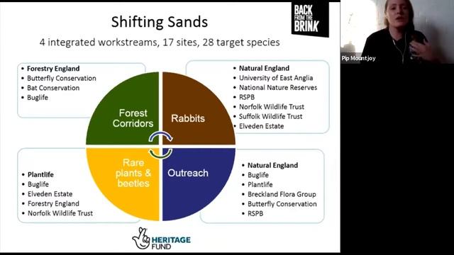 Shifting Sands: Exploring the Role of Rabbits as Landscape Engineers