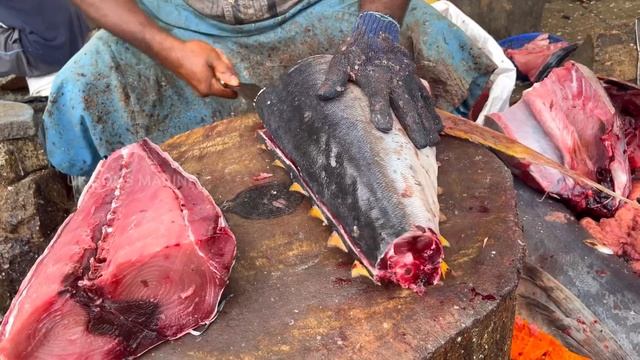 $95 MASSIVE TUNA FISH CUTTING | FISH CUTTING SKILLS | FISH CUTTING VIDEOS #KASIMEDU | UK SONS MARIN