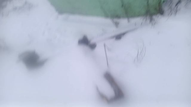 7 февраля 2025 16:58