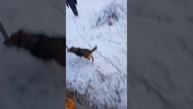15.02.25 Хотя угулялся