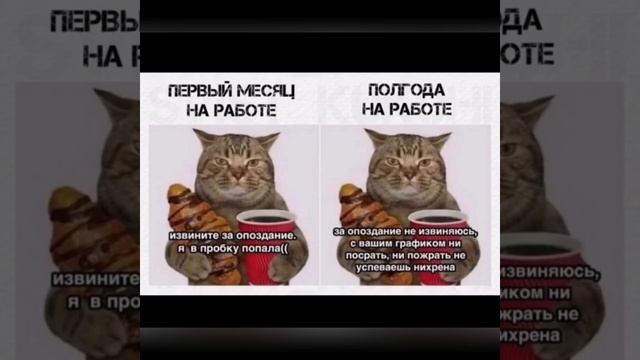 Приколы: Закрой дверь в сауну, дура!