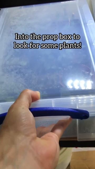 Oil Bottle Into Vertical Terrarium