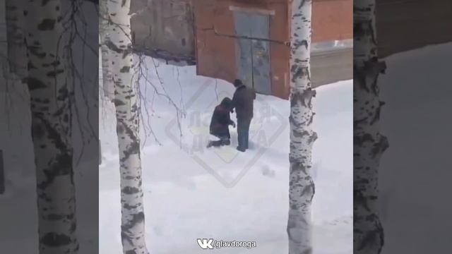 ПОЛАТКА