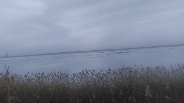 VID_20250215_151055