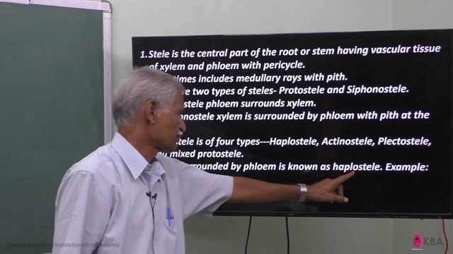 23.Botany | Kingdom Plantae | Types of stele