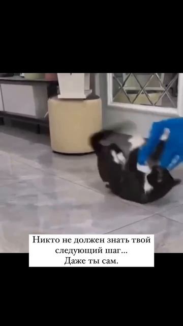 Аффирмация дня😁