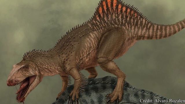 Concavenator | The Hunchback Hunter | Dino Basics