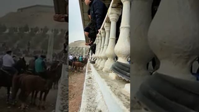 НООКЕНДЕН КРУТОЙ балбан Өзбекстанда салым салды