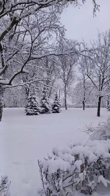Давай