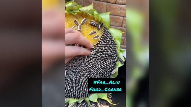 Who's fav this Sunflower Seeds 🌻💛😍 #Shorts #ytshorts #Shortvideo Subscribe to our Channel.