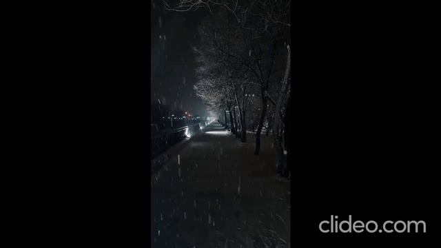 Белый снег