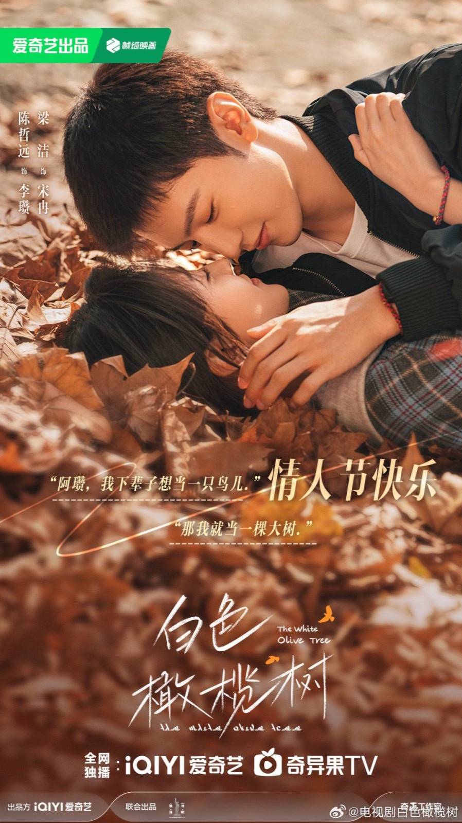 ❤️The White Olive Tree❤️ 白色橄榄树/Chen Zhe Yuan 🍒 Liang Jie/#cdrama#trailer#shorts#short#viralvideo
