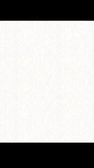 Curiosidade sobre as plantas carnívoras #3 - nepenthes