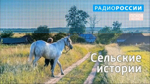 Сельские истории. Ширяево. Выпуск 30.11.20