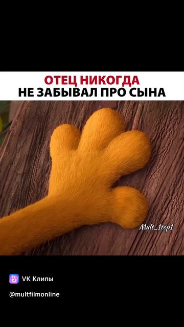 15-02-2025